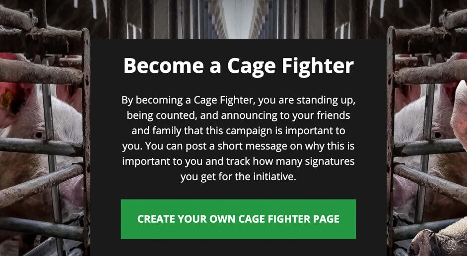 Screengrab of the landing page to "Become a cage fighter"