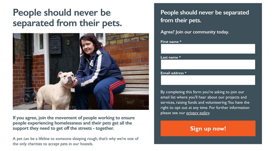 Screengrab of a landing page showing an image of a person with a dog